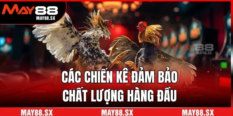 Các chiến kê đảm bảo chất lượng hàng đầu