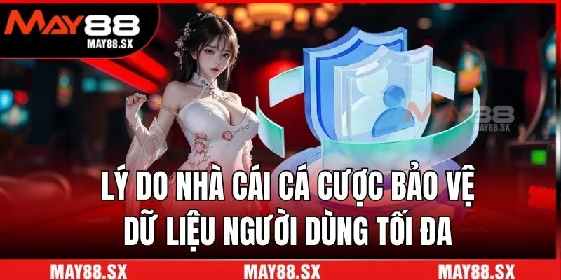 Lý do nhà cái cá cược bảo vệ dữ liệu người dùng tối đa