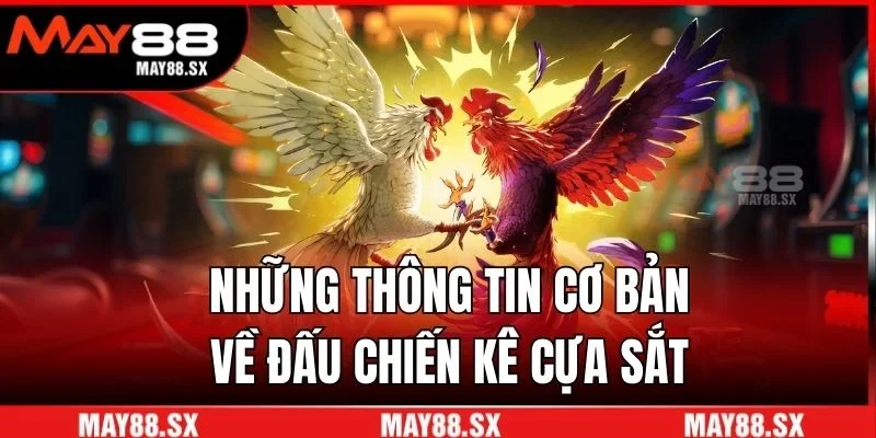 Những thông tin cơ bản về đấu chiến kê cựa sắt