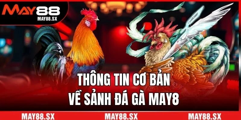 Thông tin cơ bản về sảnh đá gà May88