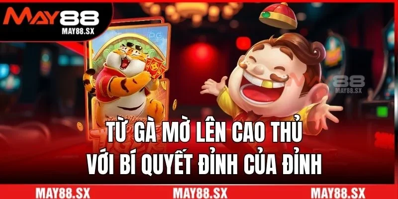 Từ gà mờ lên cao thủ với bí quyết đỉnh của đỉnh