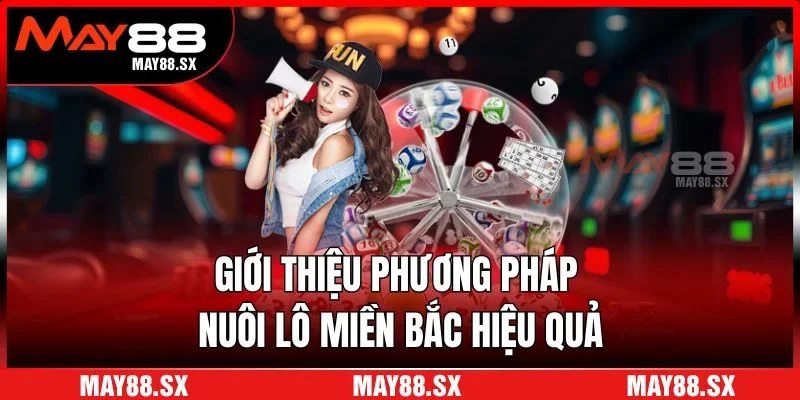 Giới thiệu phương pháp nuôi lô miền Bắc hiệu quả