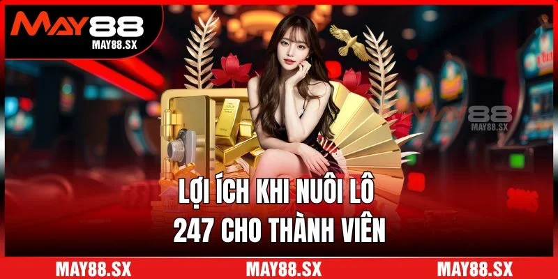 Lợi ích khi nuôi lô 247 cho thành viên